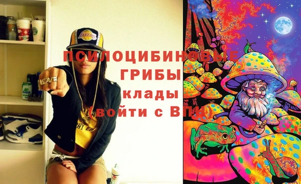 гидропоника Богородицк