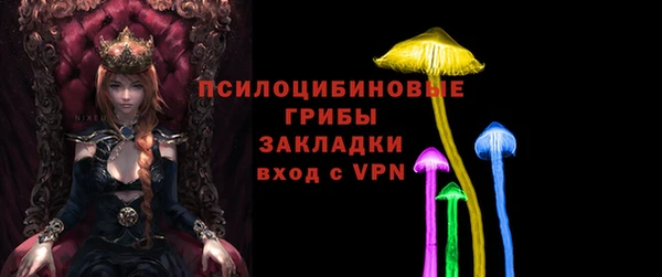 шишки Богородск