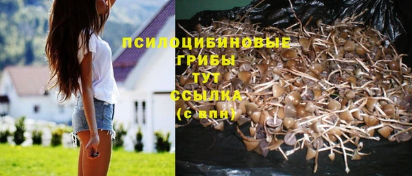 шишки Богородск