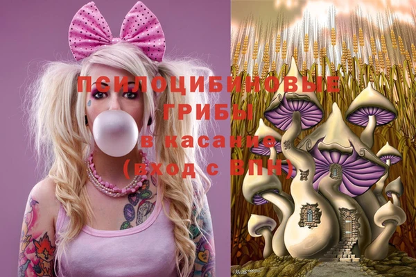 шишки Богородск