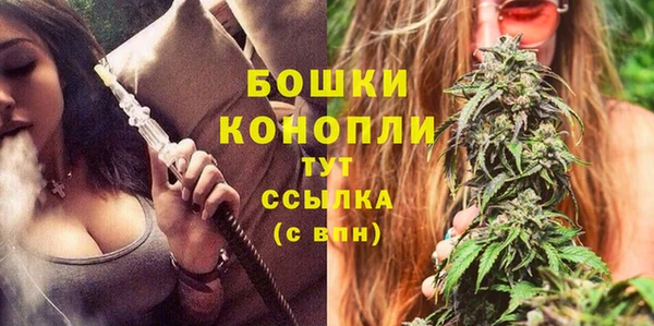 шишки Богородск