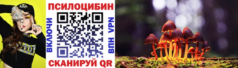Галлюциногенные грибы GOLDEN TEACHER Красноармейск