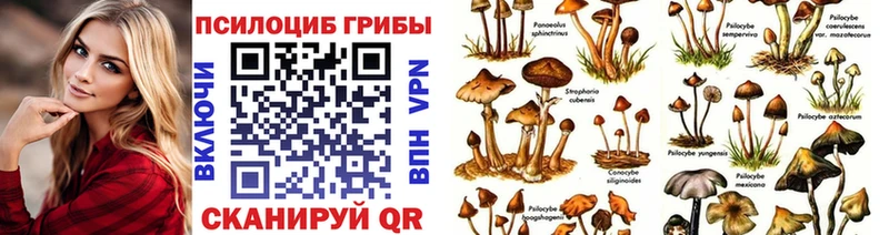 Псилоцибиновые грибы мухоморы  цена наркотик  Красноармейск 