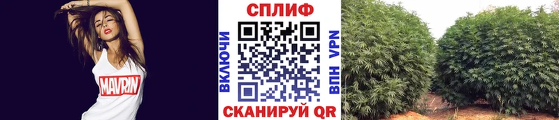 купить наркотик  Красноармейск  МАРИХУАНА Amnesia 